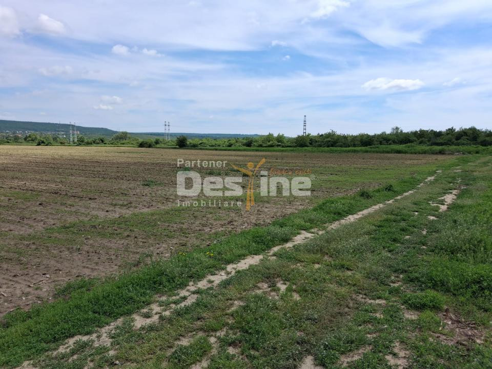 Teren Extravilan de Vânzare – Mărăcineni, Sat Argeșelu