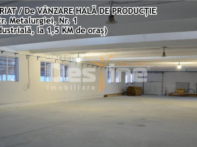 Hala productie, zona Industriala, Vaslui
