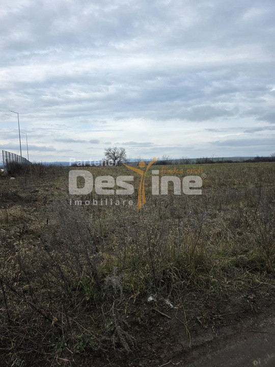 Teren intravilan 4028 mp, str Dimitrie Cantemir, Vaslui