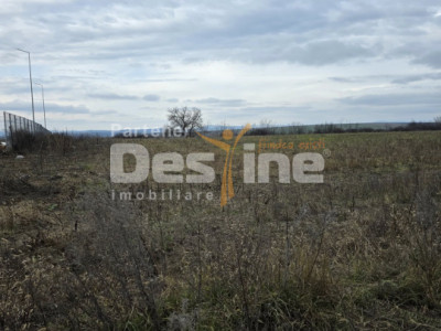 Teren intravilan 4028 mp, str Dimitrie Cantemir, Vaslui