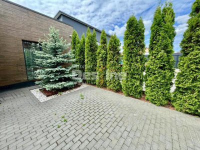 Casa/ afacere,   Miroslava  