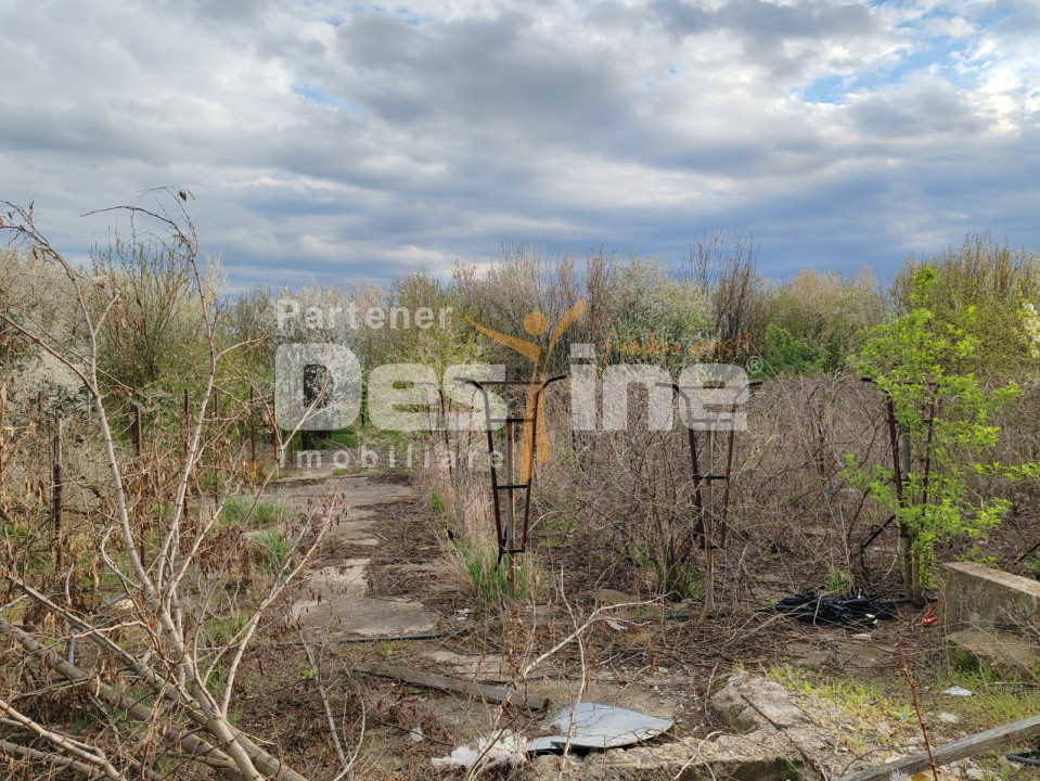 Domeniu teren si constructii, Muntenii de Sus, DN 24, Vaslui
