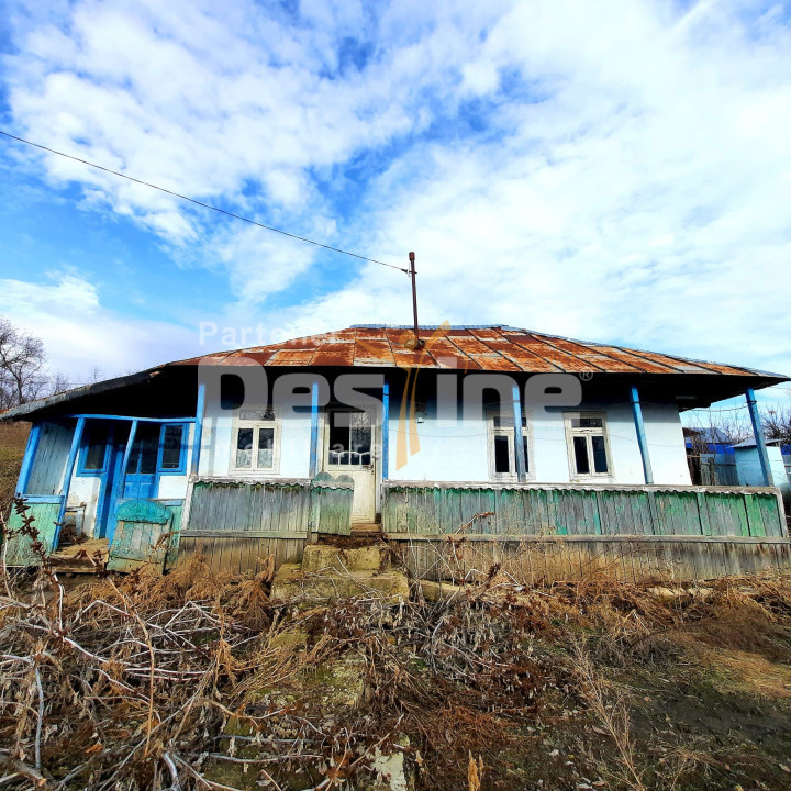 Imobil compus din casa de locuit si teren, Danesti, constructie 1969