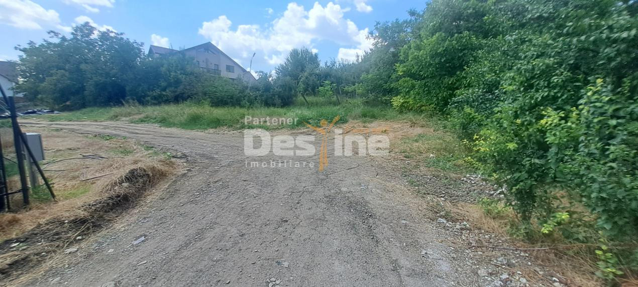 TEREN intravilan  Balciu - MIROSLAVA , 709 MP, 77.990 EURO