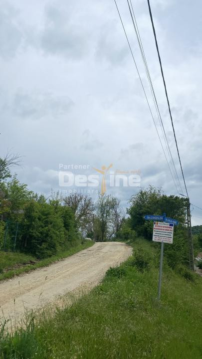 🌳 PĂDURE DE VÂNZARE – 17 HA – VALEA MARE, COMUNA BĂLILEȘTI, JUDEȚUL ARGEȘ 🌳