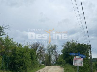 🌳 PĂDURE DE VÂNZARE – 17 HA – VALEA MARE, COMUNA BĂLILEȘTI, JUDEȚUL ARGEȘ 🌳