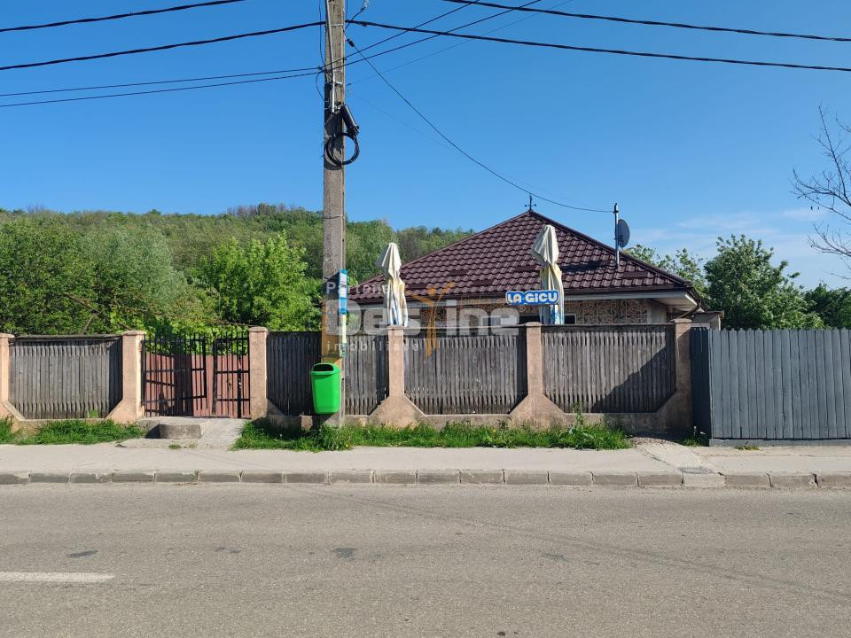 Spatiu comercial cu vad existent, Vaslui, Gura Bustei
