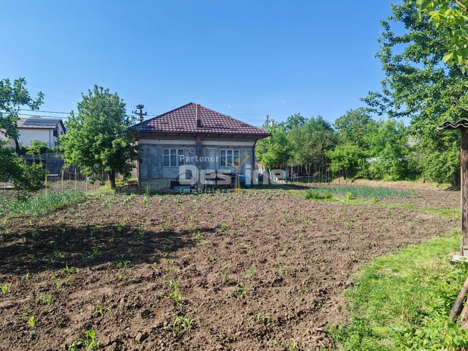 Spatiu comercial cu vad existent, Vaslui, Gura Bustei