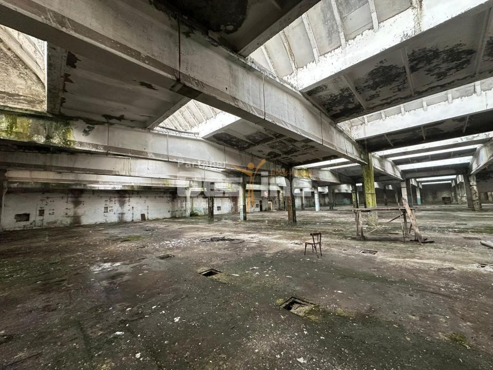 Pucioasa I Fabrica si Teren pentru industrie I Putere mare curent + gaze