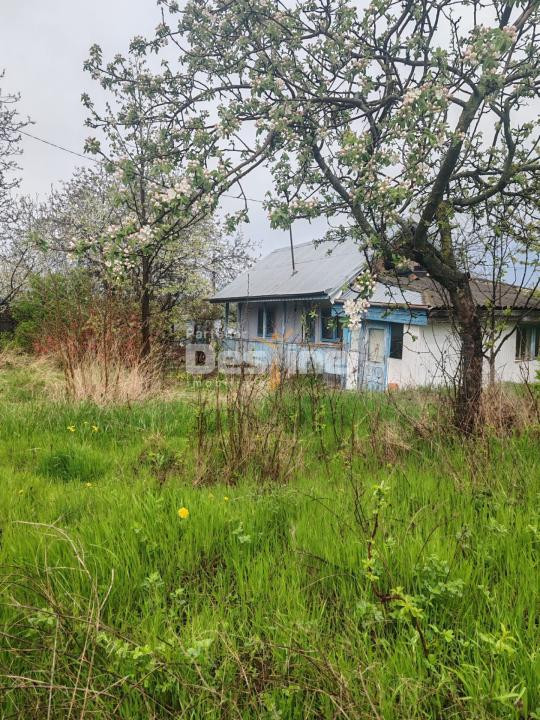 Teren intravilan in suprafata de 3160 mp, Puscasi, Poiana lui Alexa