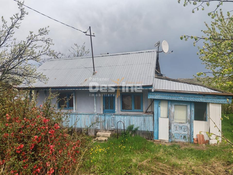 Teren intravilan in suprafata de 3160 mp, Puscasi, Poiana lui Alexa