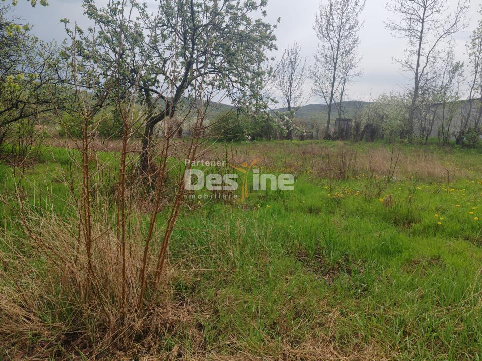 Teren intravilan in suprafata de 3160 mp, Puscasi, Poiana lui Alexa