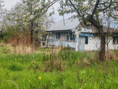 Teren intravilan in suprafata de 3160 mp, Puscasi, Poiana lui Alexa