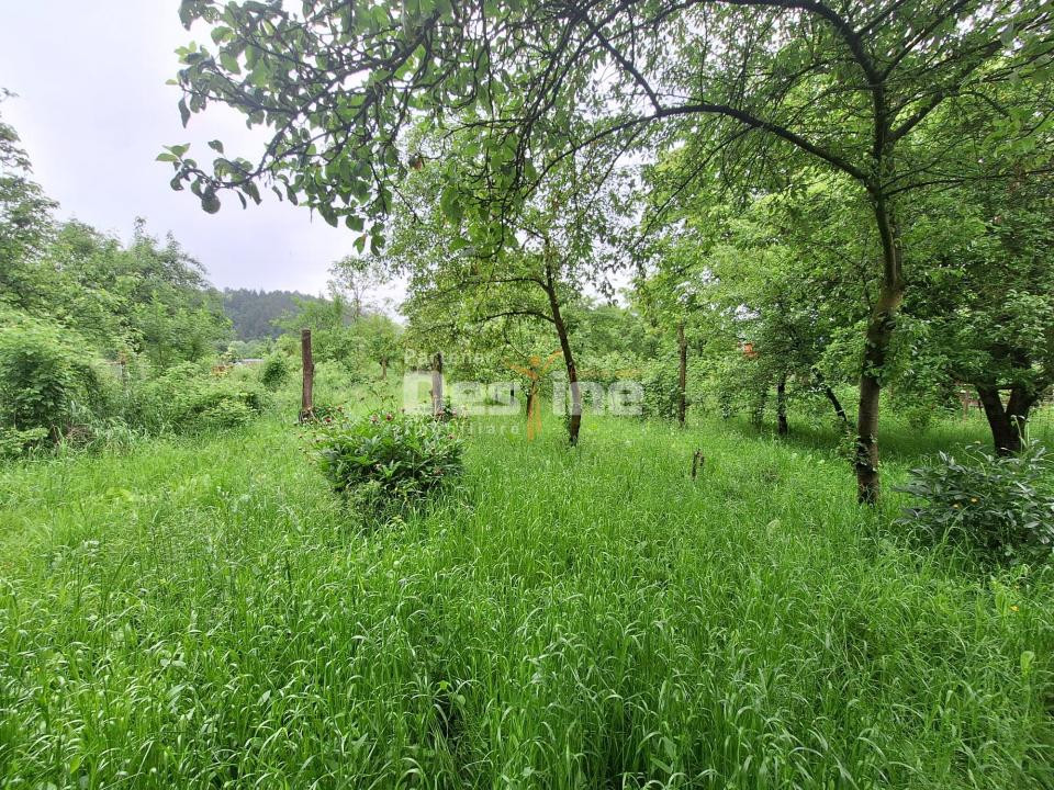 Oportunitate rară! Casă spațioasă aproape de Barajul Valea Uzului, Darmanesti