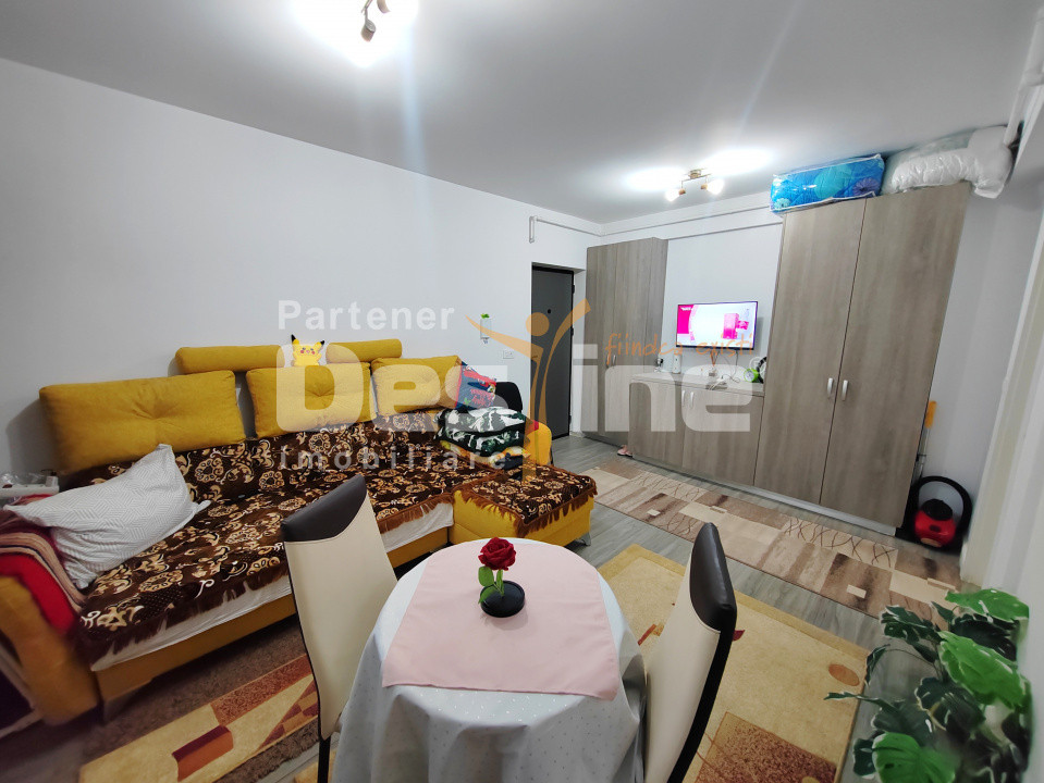 Apartament 1 camera 29,4 mp MOBILAT și UTILAT - Bucium-Visan