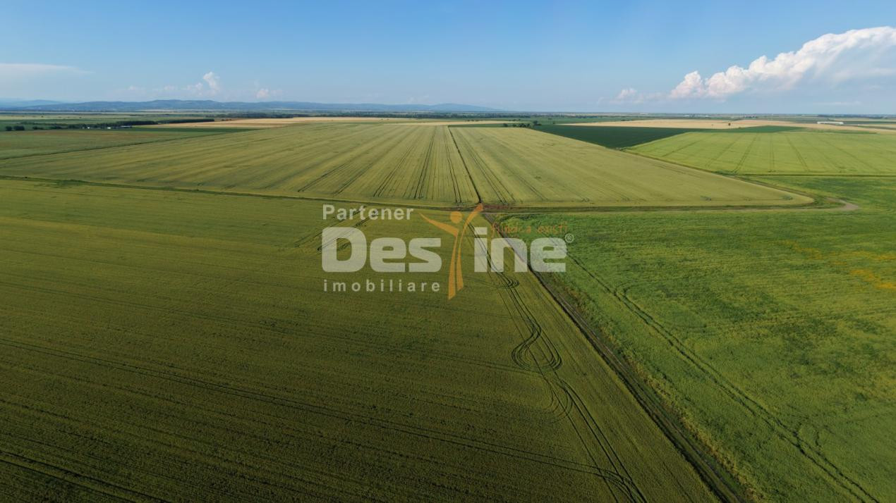 Teren extravilan, neimprejmuit, disponibil imediat, Dumbrava, Prahova 