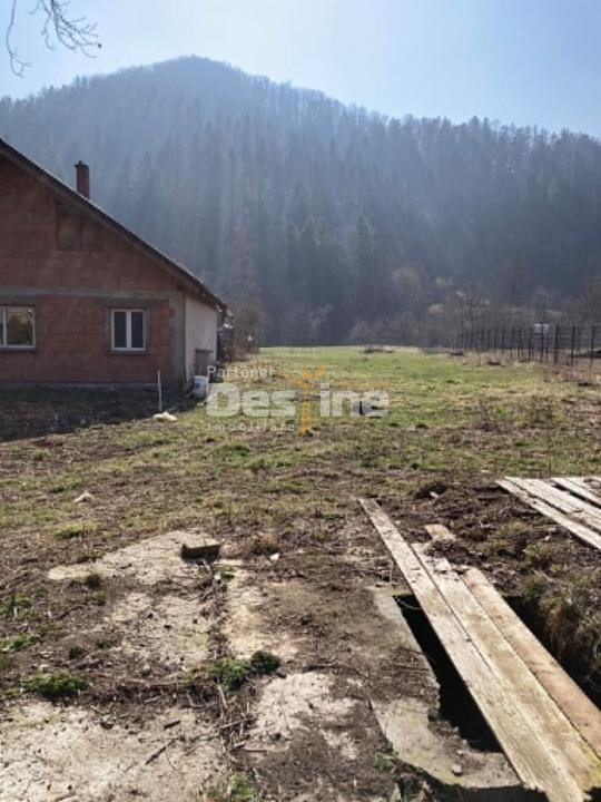 Casa cu teren Negulesti 3400mp