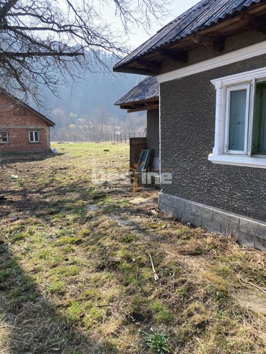 Casa cu teren Negulesti 3400mp