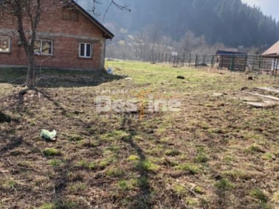 Casa cu teren Negulesti 3400mp