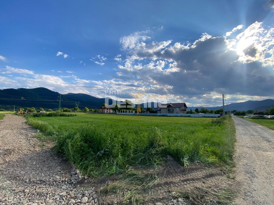 Teren de vanzare Alexandru cel Bun 20.000 Euro 735mp