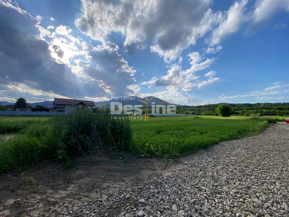 Teren de vanzare Alexandru cel Bun 20.000 Euro 735mp