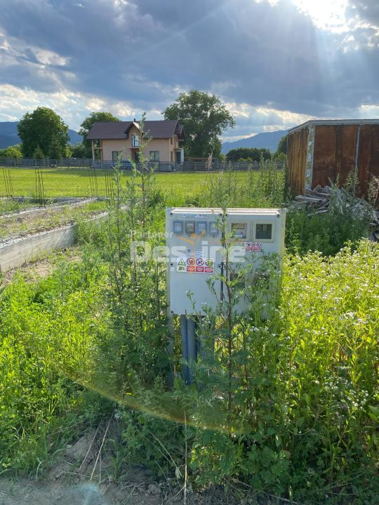 Teren de vanzare Alexandru cel Bun 20.000 Euro 735mp