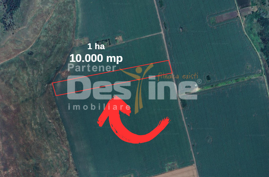 TEREN de vânzare | Extravilan | Valea Lupului 10.000 MP, 35 EUR/mp