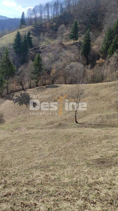 Teren 5000 mp, ideal cabana, pensiune,  in zona de interes  turistic  Rucar-Bran