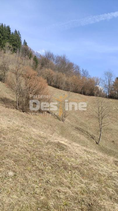 Teren 5000 mp, ideal cabana, pensiune,  in zona de interes  turistic  Rucar-Bran