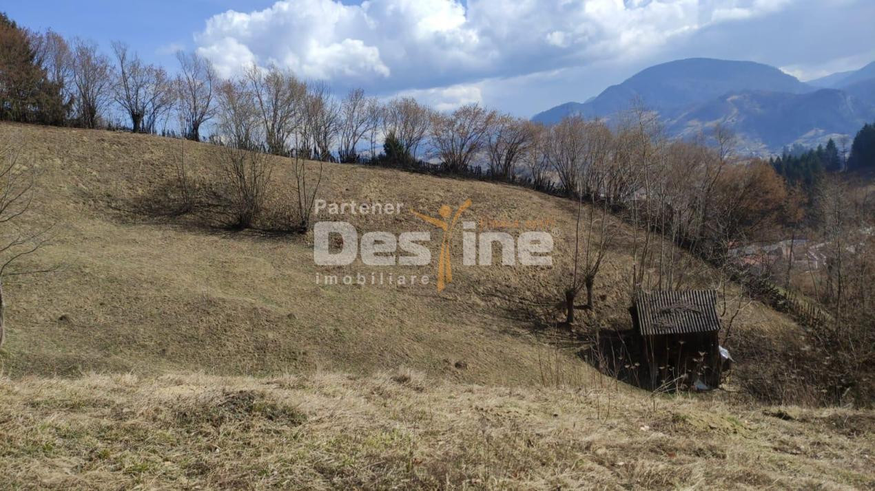 Teren 5000 mp, ideal cabana, pensiune,  in zona de interes  turistic  Rucar-Bran