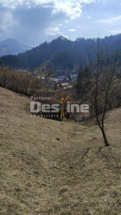 Teren 5000 mp, ideal cabana, pensiune,  in zona de interes  turistic  Rucar-Bran