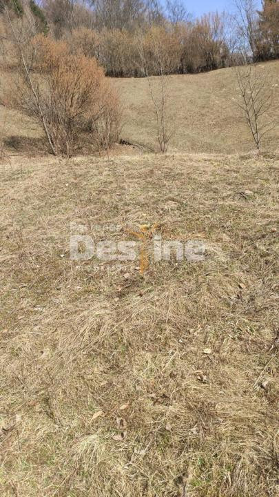Teren 5000 mp, ideal cabana, pensiune,  in zona de interes  turistic  Rucar-Bran