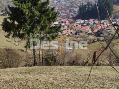 Teren 5000 mp, ideal cabana, pensiune,  in zona de interes  turistic  Rucar-Bran
