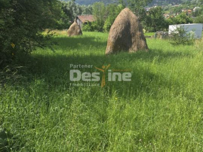 VAND TEREN VALEA DOFTANEI ZONA ERMENEASA 1030 MP