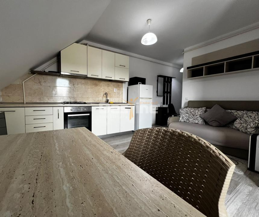 Apartament cu 2 camere și terasă zona Palas Mall