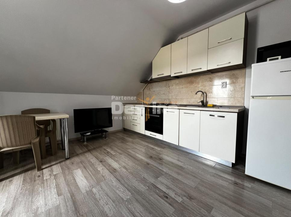 Apartament cu 2 camere și terasă zona Palas Mall
