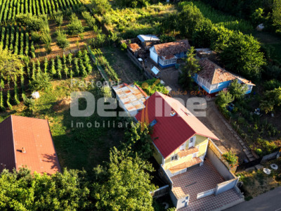 Casă individuală 4 camere 2 garaje 150 mp + anexa și gradina