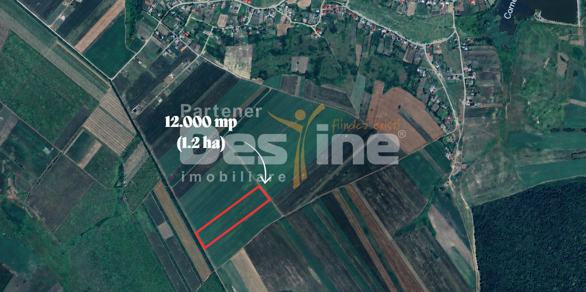 PROSELNICI – Teren extravilan 12.000 mp 
