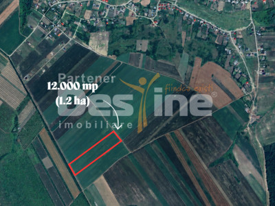 PROSELNICI – Teren extravilan 12.000 mp 