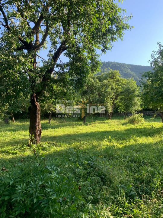 Gospodărie completă cu 2.793 mp teren și multiple anexe, Brustoasa-Bacau