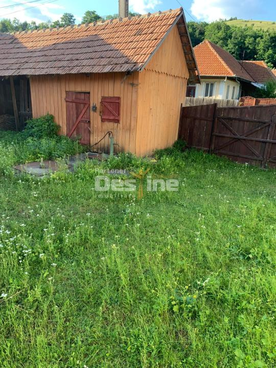 Gospodărie completă cu 2.793 mp teren și multiple anexe, Brustoasa-Bacau