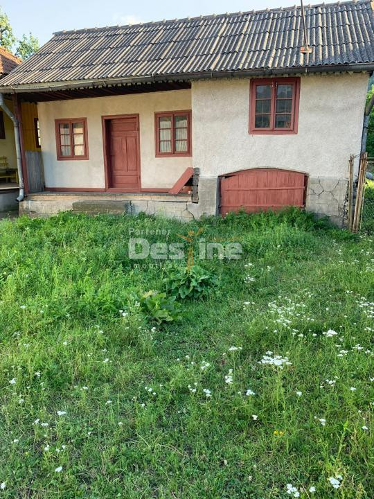 Gospodărie completă cu 2.793 mp teren și multiple anexe, Brustoasa-Bacau