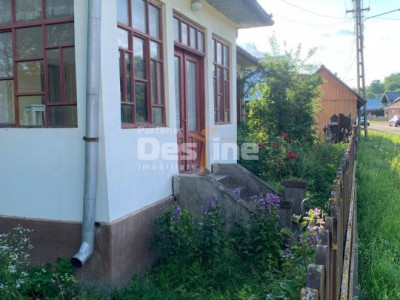 Gospodărie completă cu 2.793 mp teren și multiple anexe, Brustoasa-Bacau