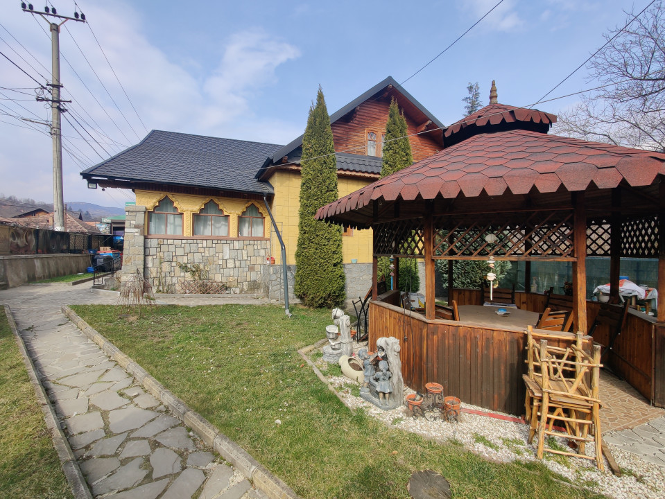 Casa/ case de vanzare in Valea Doftanei- Oportunitate afacere