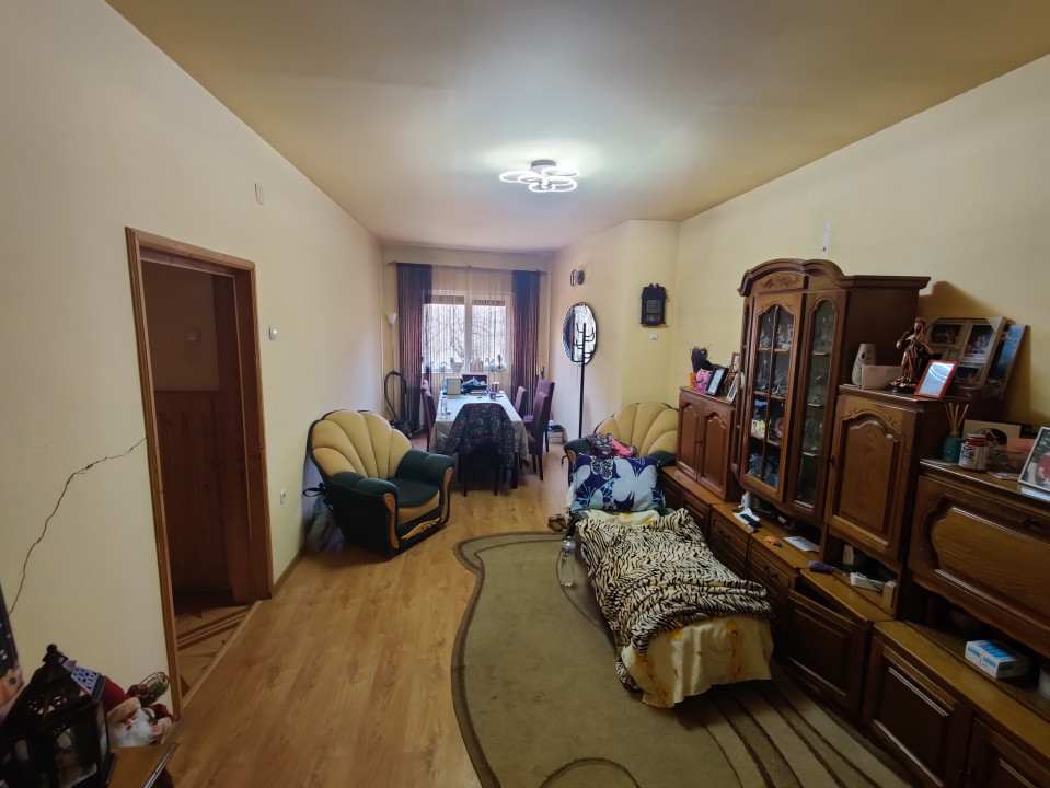 Casa/ case de vanzare in Valea Doftanei- Oportunitate afacere