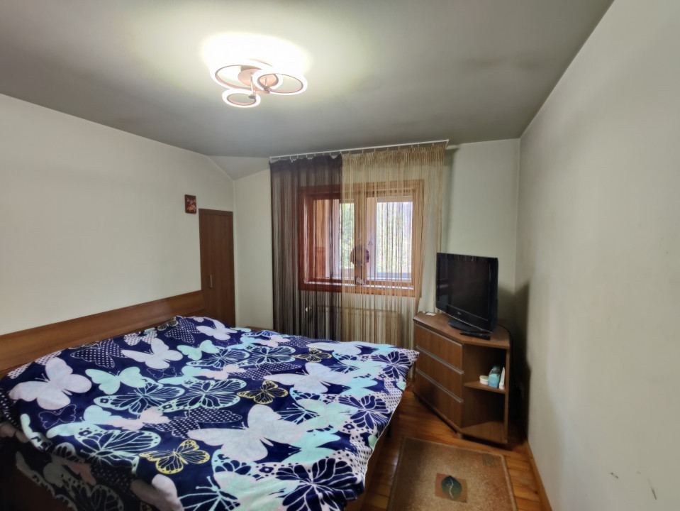 Casa/ case de vanzare in Valea Doftanei- Oportunitate afacere