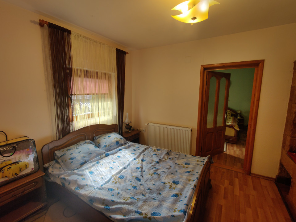 Casa/ case de vanzare in Valea Doftanei- Oportunitate afacere