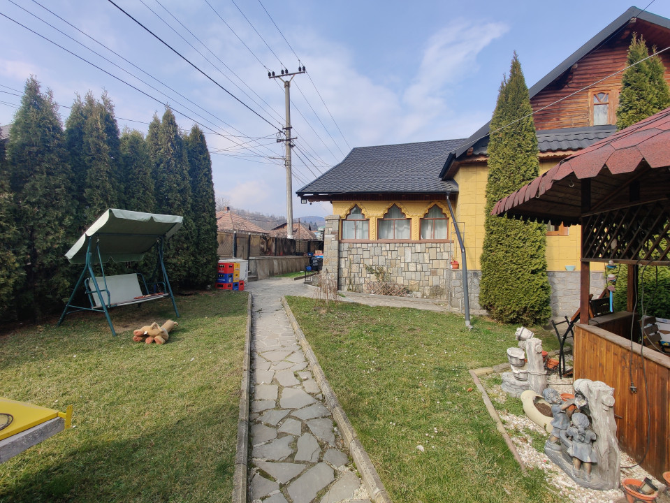 Casa/ case de vanzare in Valea Doftanei- Oportunitate afacere