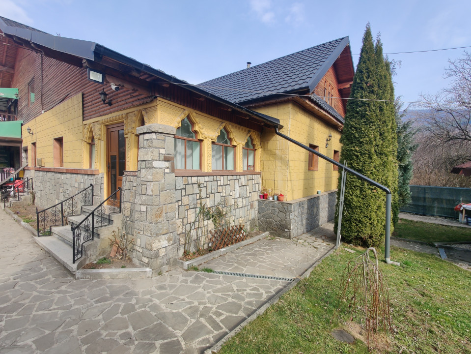 Casa/ case de vanzare in Valea Doftanei- Oportunitate afacere