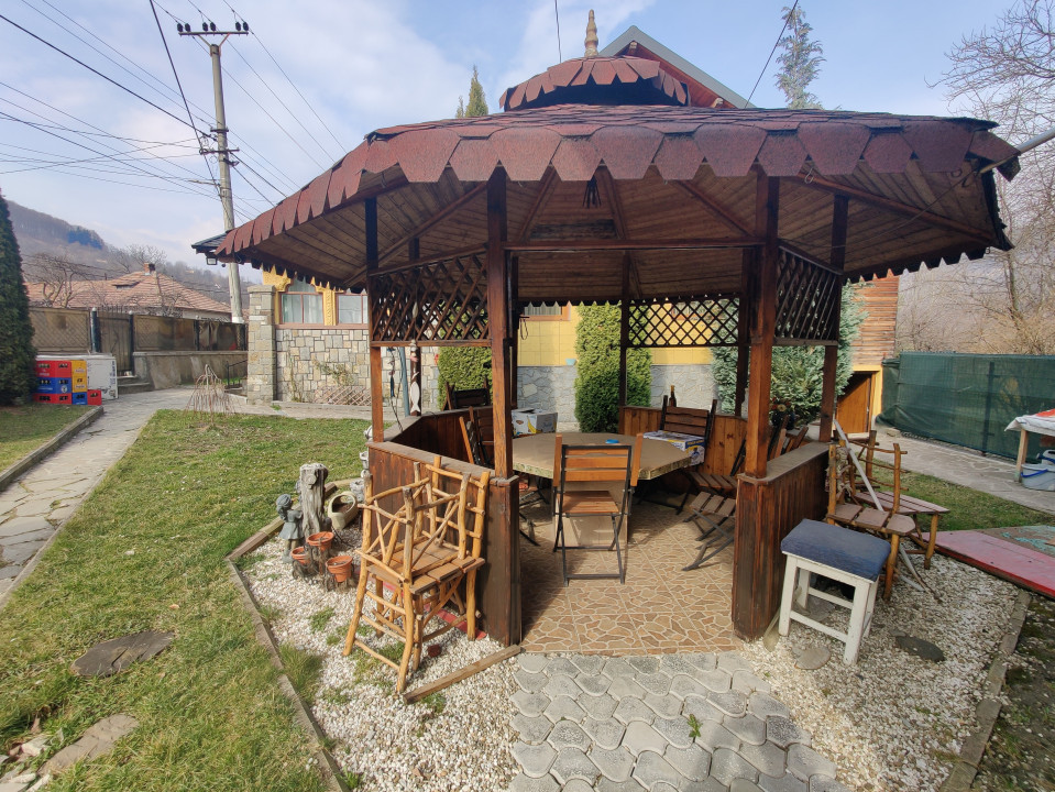 Casa/ case de vanzare in Valea Doftanei- Oportunitate afacere